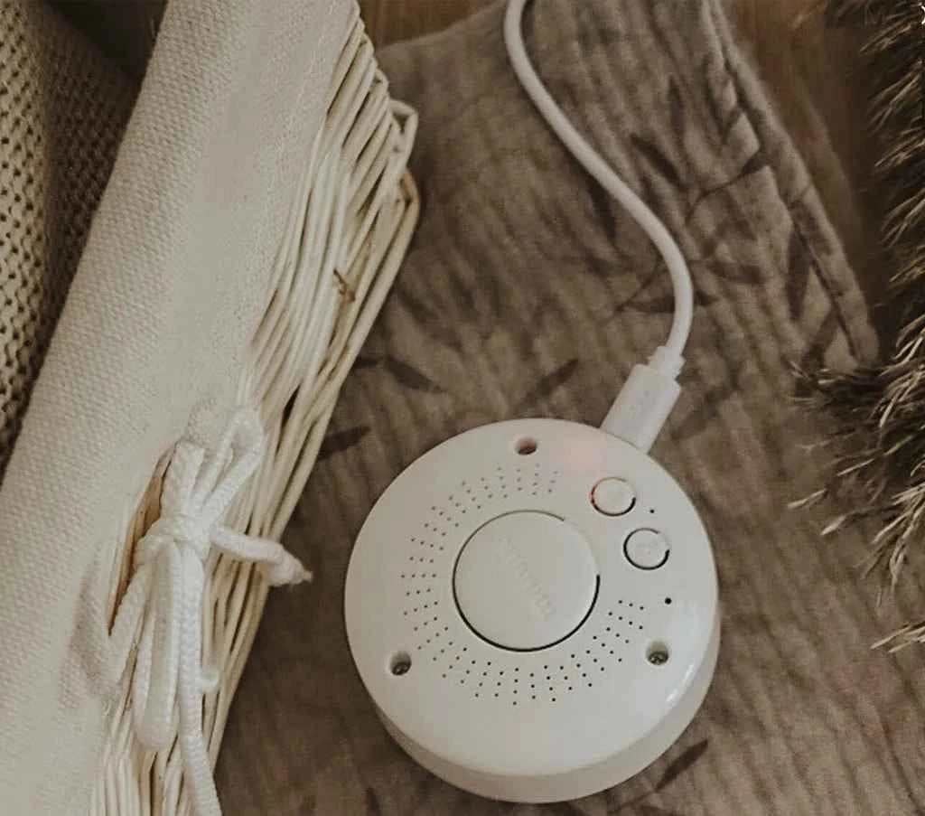 The Humming Bear - Cappucinno