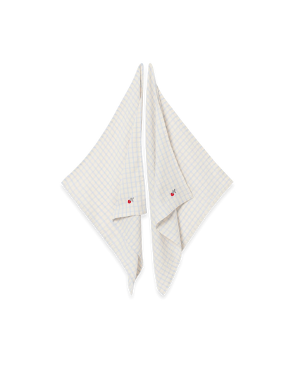 Hydrofiele Doeken 2 stuks - Gingham Sky Blue