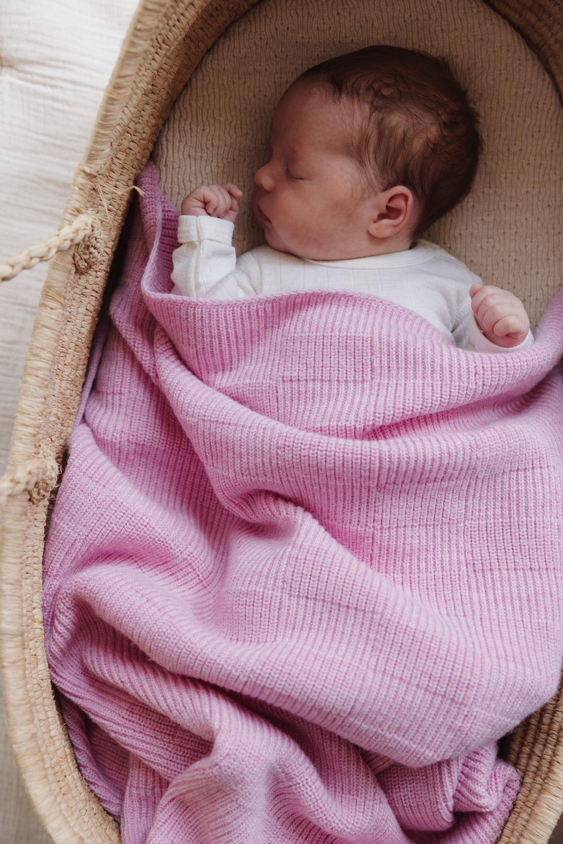 Blanket Ivy - Cotton Candy