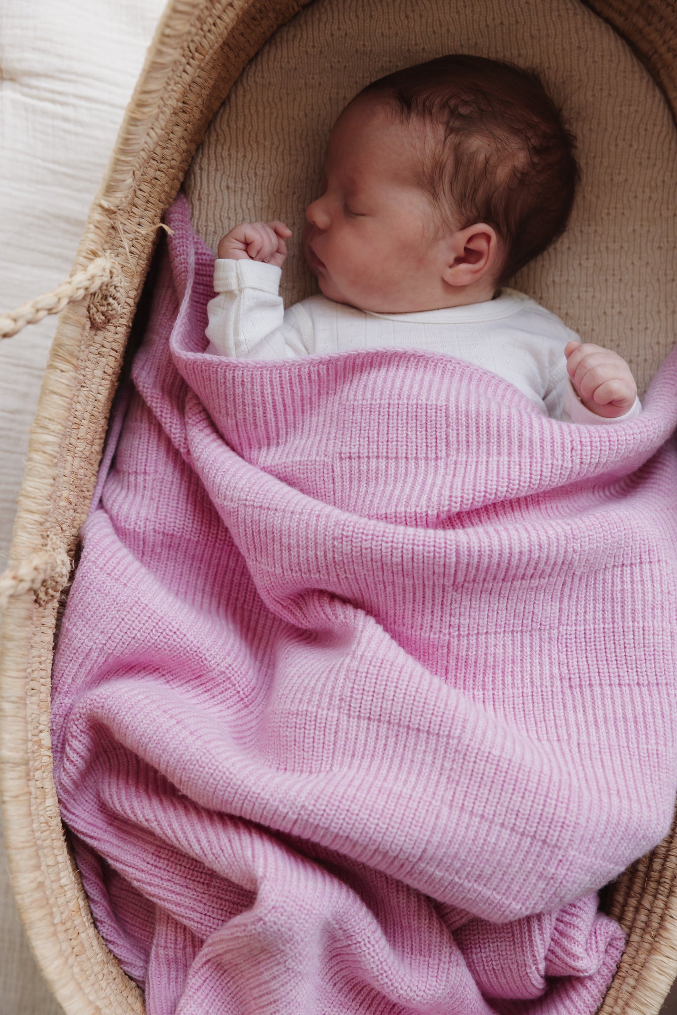 Blanket Ivy - Cotton Candy