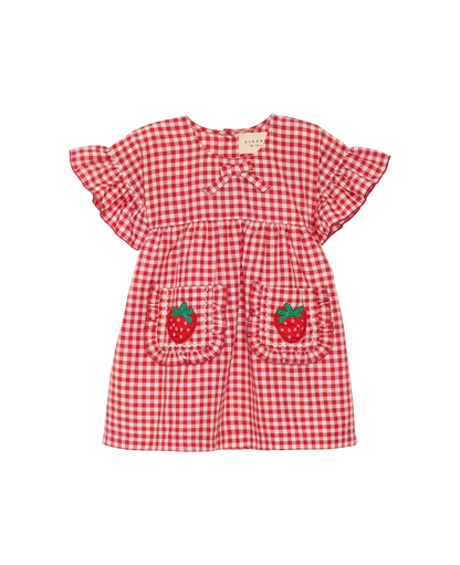 Ohio Mini Dress - Red Checks