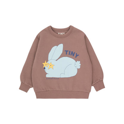 Rabbit Sweatshirt - Purple Grey